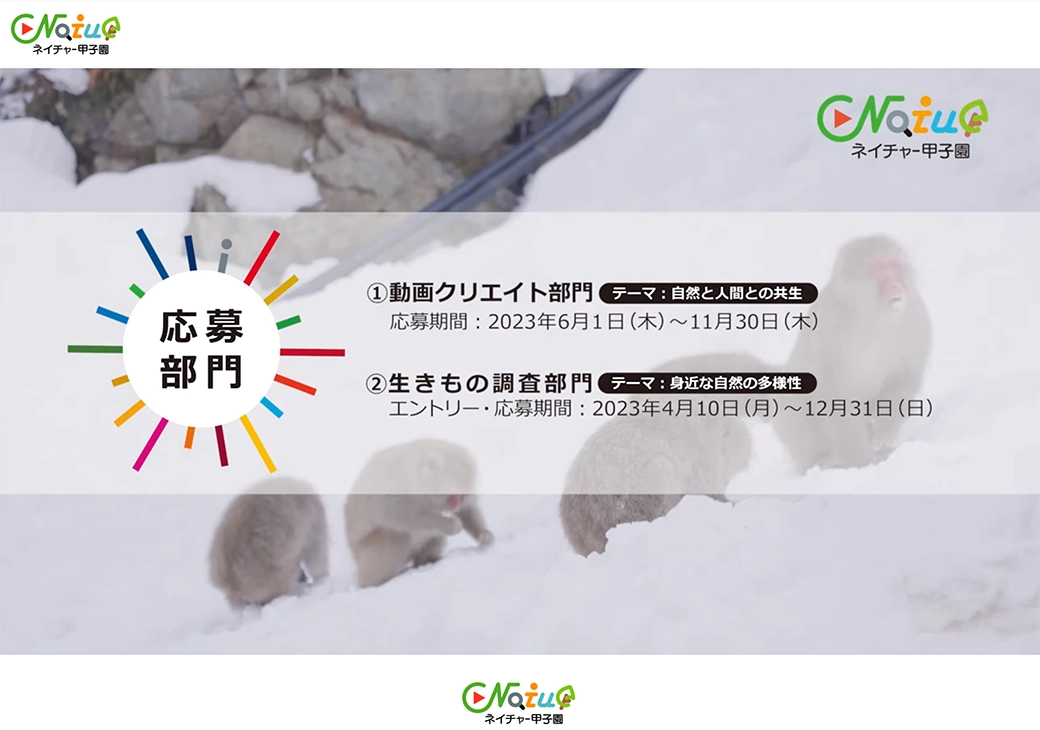 トップ動画